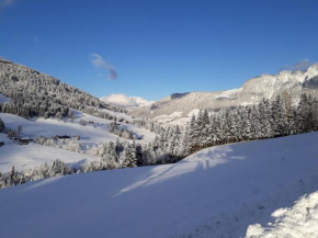 Appartement Margreiter, Alpbach, Österreich